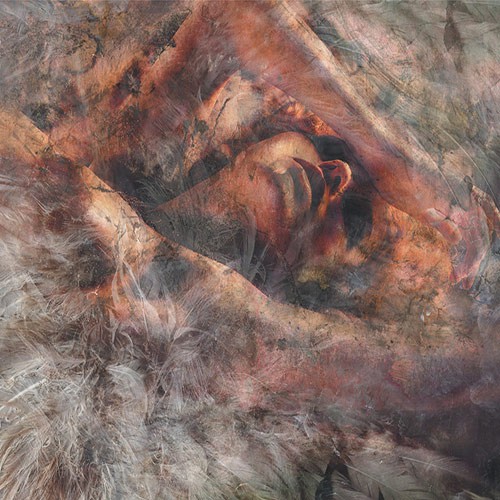CONVERGE ´Unloved And Weeded Out´ Cover Artwork